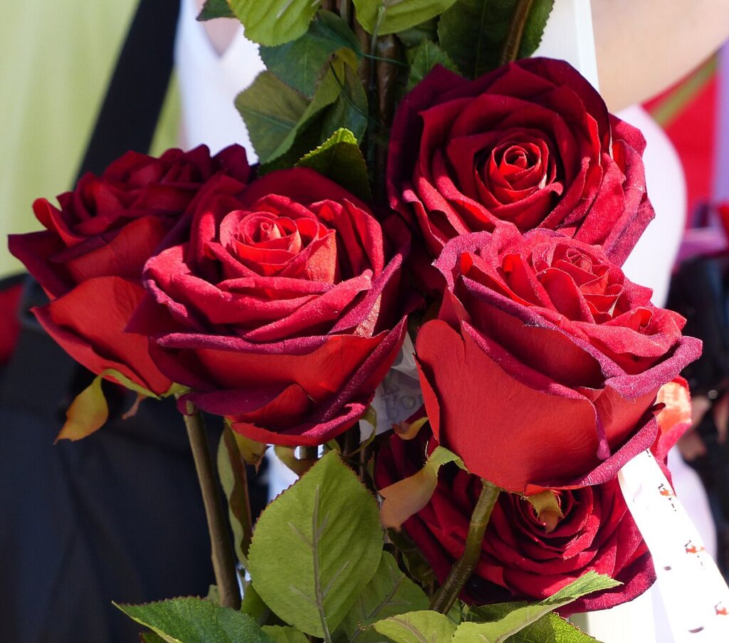 Vier_Rote_Rosen